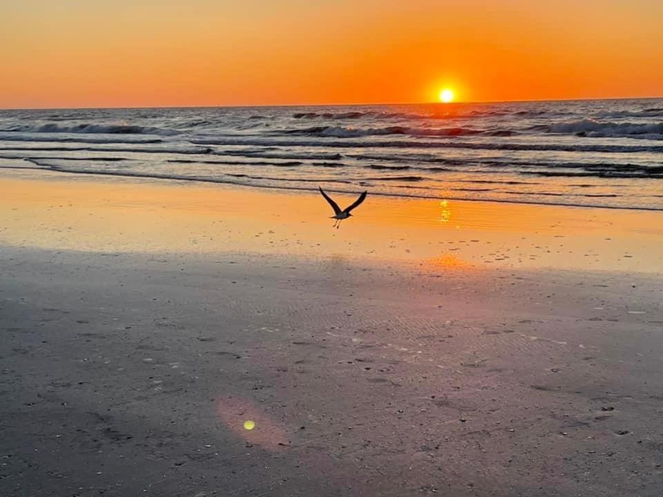 Beach Glass - Island Getaway Corpus Christi Extérieur photo