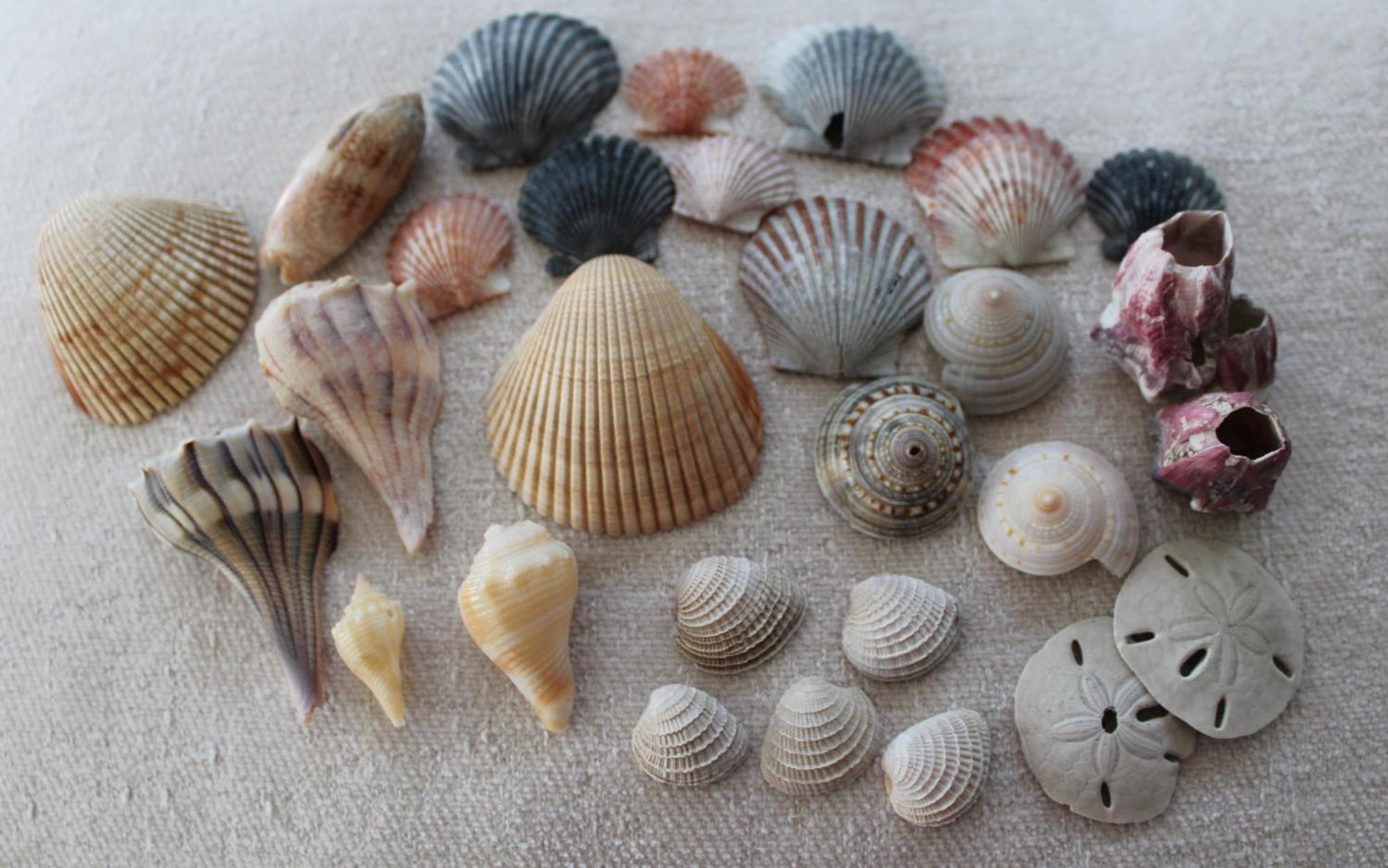 Beach Glass - Island Getaway Corpus Christi Extérieur photo